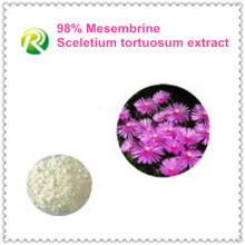 Approvisionnement d&#39;usine de haute qualité directement Sceletium Tortuosum extrait Mesembrine 98%